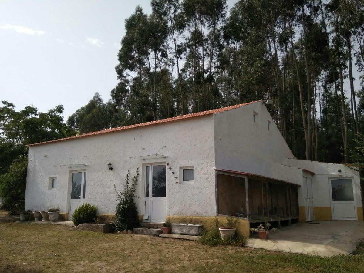 Quinta Da Mesa Villa Macinhata do Vouga Luaran gambar